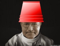  /Devo 